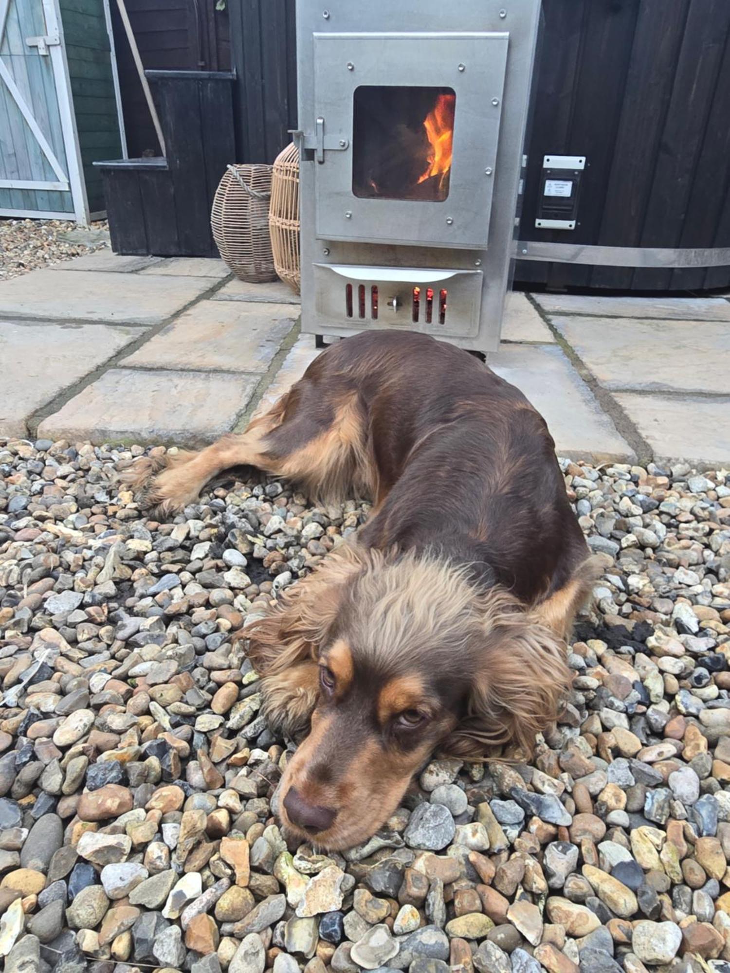 Birch Cottage With Private Wood Fire Hot Tub Harrietsham Екстер'єр фото